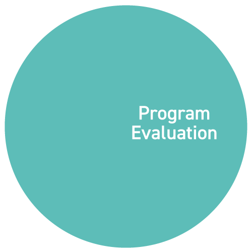 Program Evaluation circle